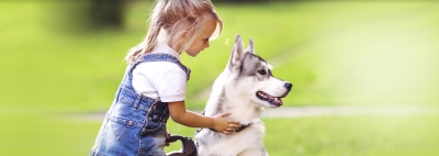 problemas dermatologicos en perros